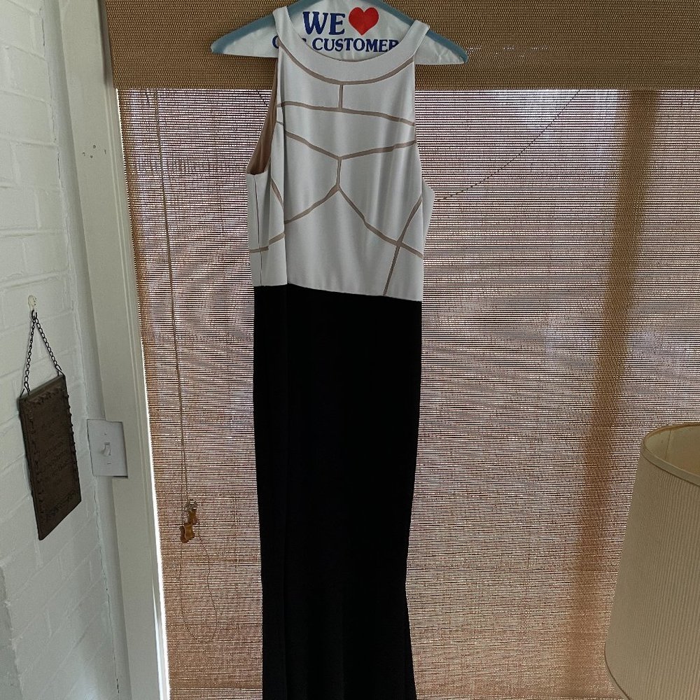 Vintage Cache prom/evening dress